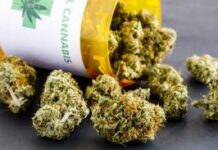 Hrm cannabis delivery